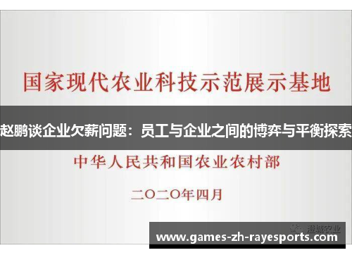 赵鹏谈企业欠薪问题：员工与企业之间的博弈与平衡探索