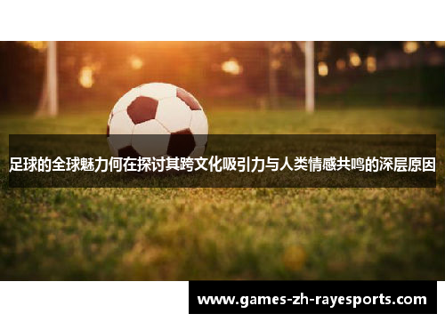 足球的全球魅力何在探讨其跨文化吸引力与人类情感共鸣的深层原因